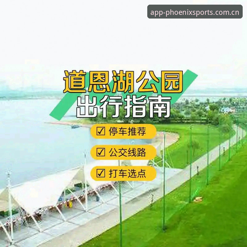 凤凰体育入口使用指南：3个关键步骤带你快速上手体育竞技平台